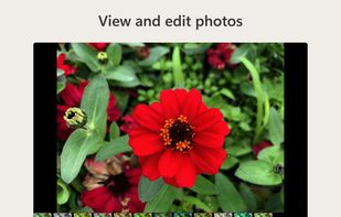 Owlfiles screenshot 3