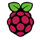 Raspberry Pi icon