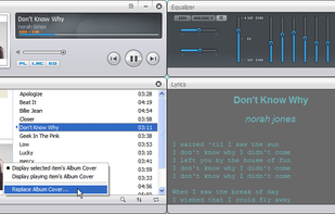 CometPlayer screenshot 1