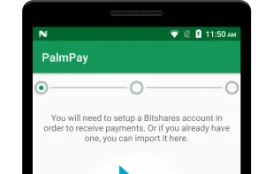 PalmPay screenshot 1