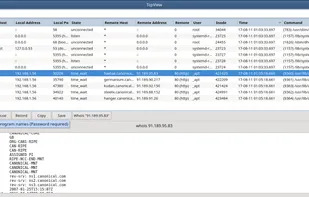 TcpView For Linux screenshot 1