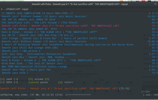 Pantheon Terminal running YouTube Music Player mpsyt