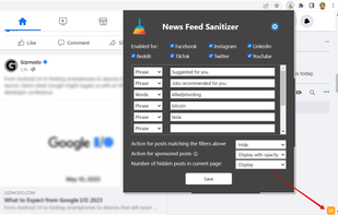 News Feed Sanitizer screenshot 1