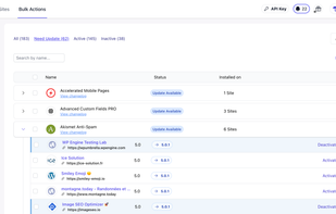 WP Umbrella's bulk actions