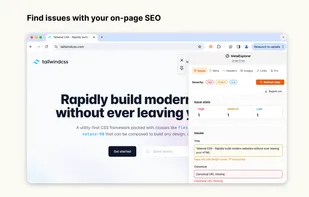 Check your on-page seo issues
