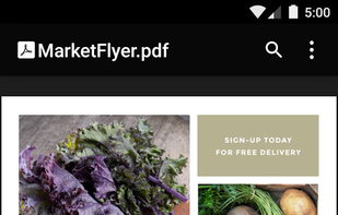 Google PDF Viewer screenshot 3