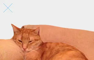 123D Catch screenshot 1