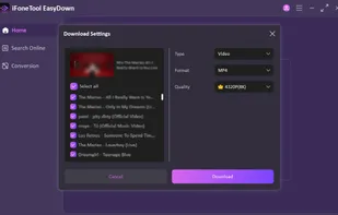 EasyDown screenshot 2