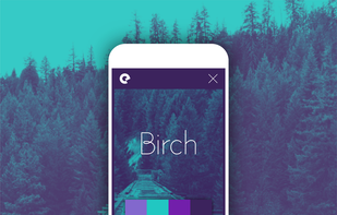 BrandBuilder screenshot 3