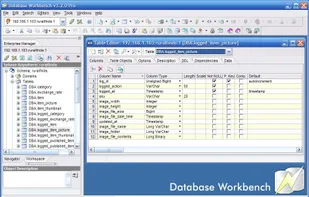 Database Workbench screenshot 1
