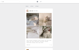 Priviblur screenshot 1