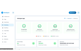 Real-Time Uptime & SSL Monitor