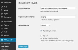 WP Pusher screenshot 1