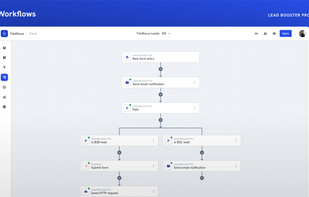 Automated lead workflows with conditional branching and integrations