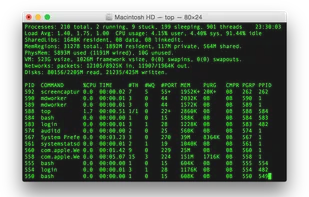 Terminal screenshot 1