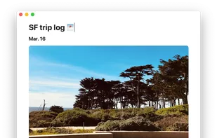 Soysauce Lab Noto screenshot 1