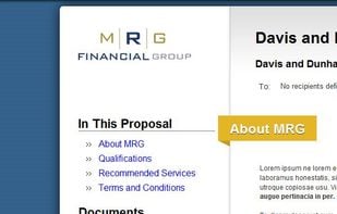 Web based proposal