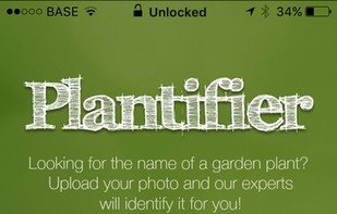 Plantifier screenshot 1