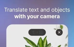 iTranslate screenshot 3