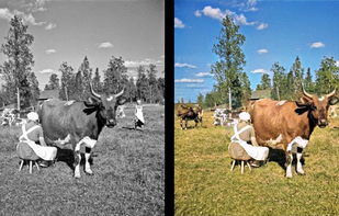 Pixbim Color Surprise AI screenshot 1