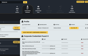 Compromised employees of disney.com shown in Bayonet
