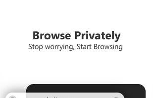 Incognito Browser screenshot 1