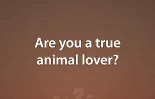 Animal Quiz Game screenshot 1