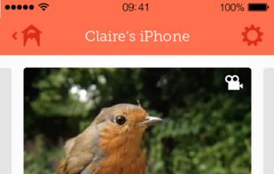 Manything screenshot 3