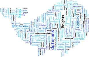 Datarank word cloud logo.