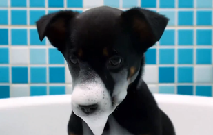 Google Veo screenshot 2