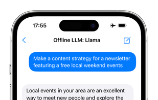 Offline LLM screenshot 1
