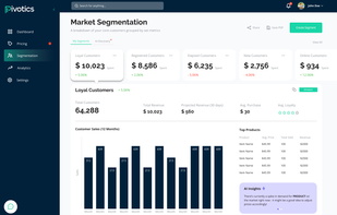 Pivotics - Market Segmentation Page