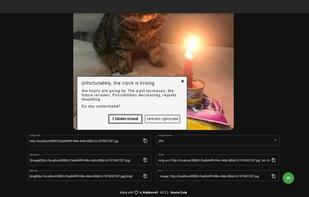 The image viewing page, allowing you to copy your image in common formats