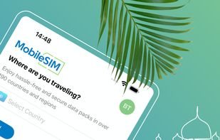 MobileSIM screenshot 1