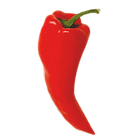 ChiliPeppr icon