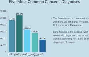 RiskAverse screenshot 1