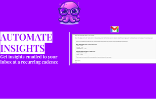 Octo AI screenshot 2