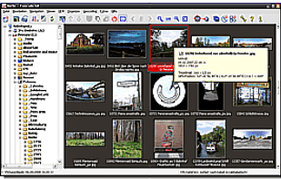 Panorado screenshot 1