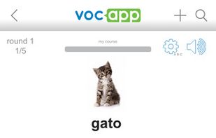 VocApp.com screenshot 1