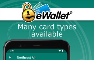 eWallet screenshot 1