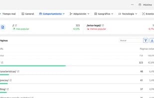 Page report