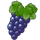 Vineyard icon