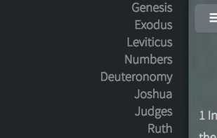e-rhema Bible Web App screenshot 2