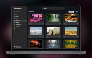 Framebird screenshot 1