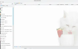 Strawberry screenshot 1