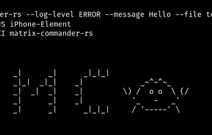 matrix-commander-rs screenshot 1