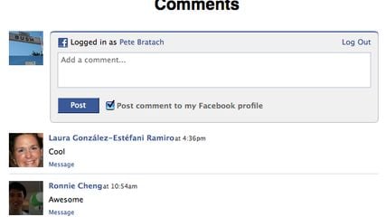 Facebook Comments Box screenshot 1