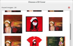 You can choose a cover from the Internet