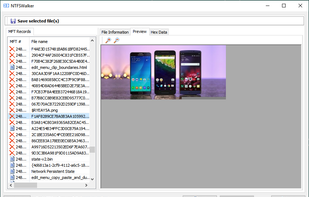NTFSWalker screenshot 1