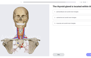 Interactive quizzes for learning